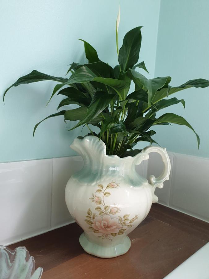 Rosebank Guesthouse Healesville Εξωτερικό φωτογραφία