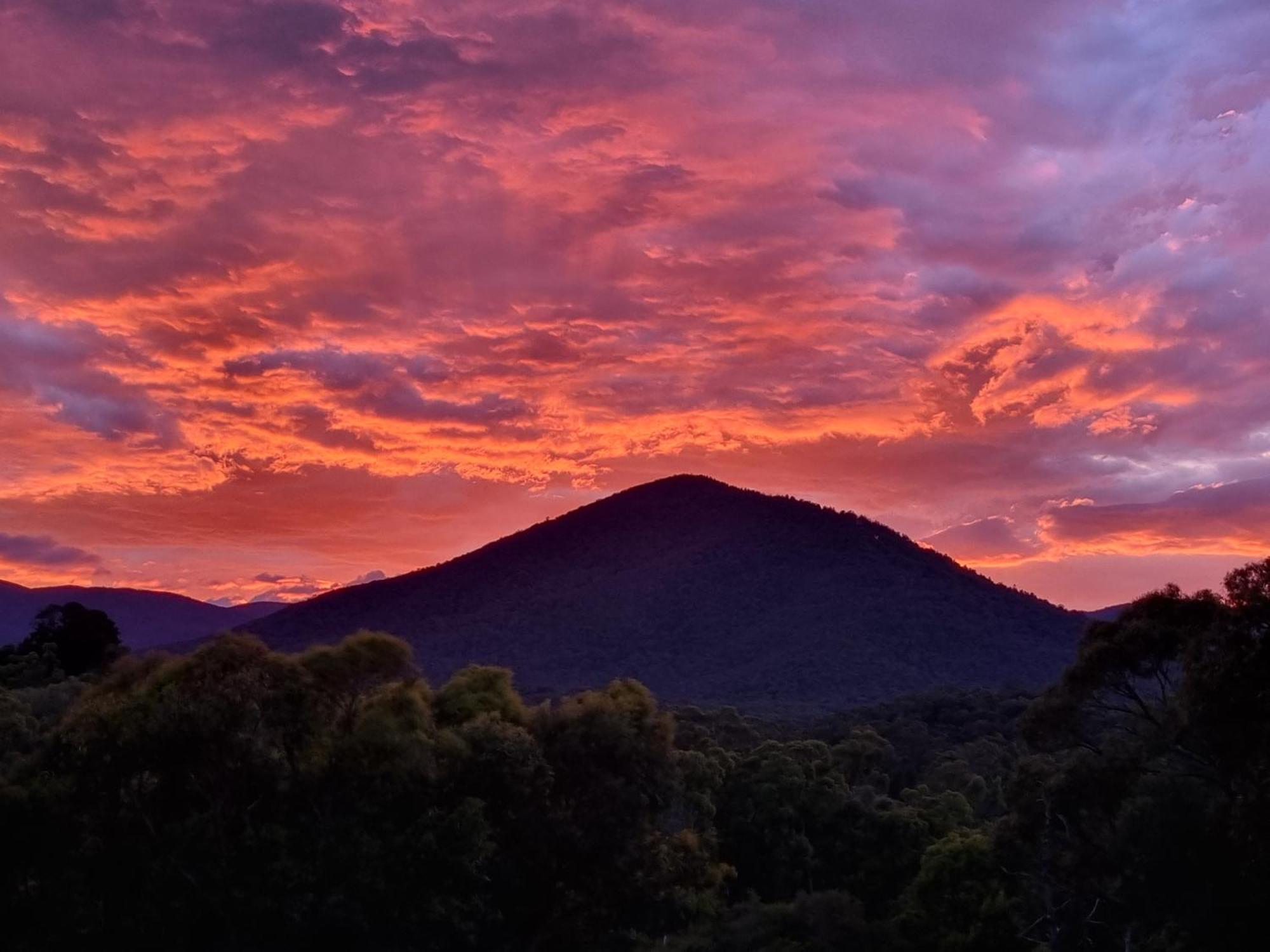 Rosebank Guesthouse Healesville Εξωτερικό φωτογραφία